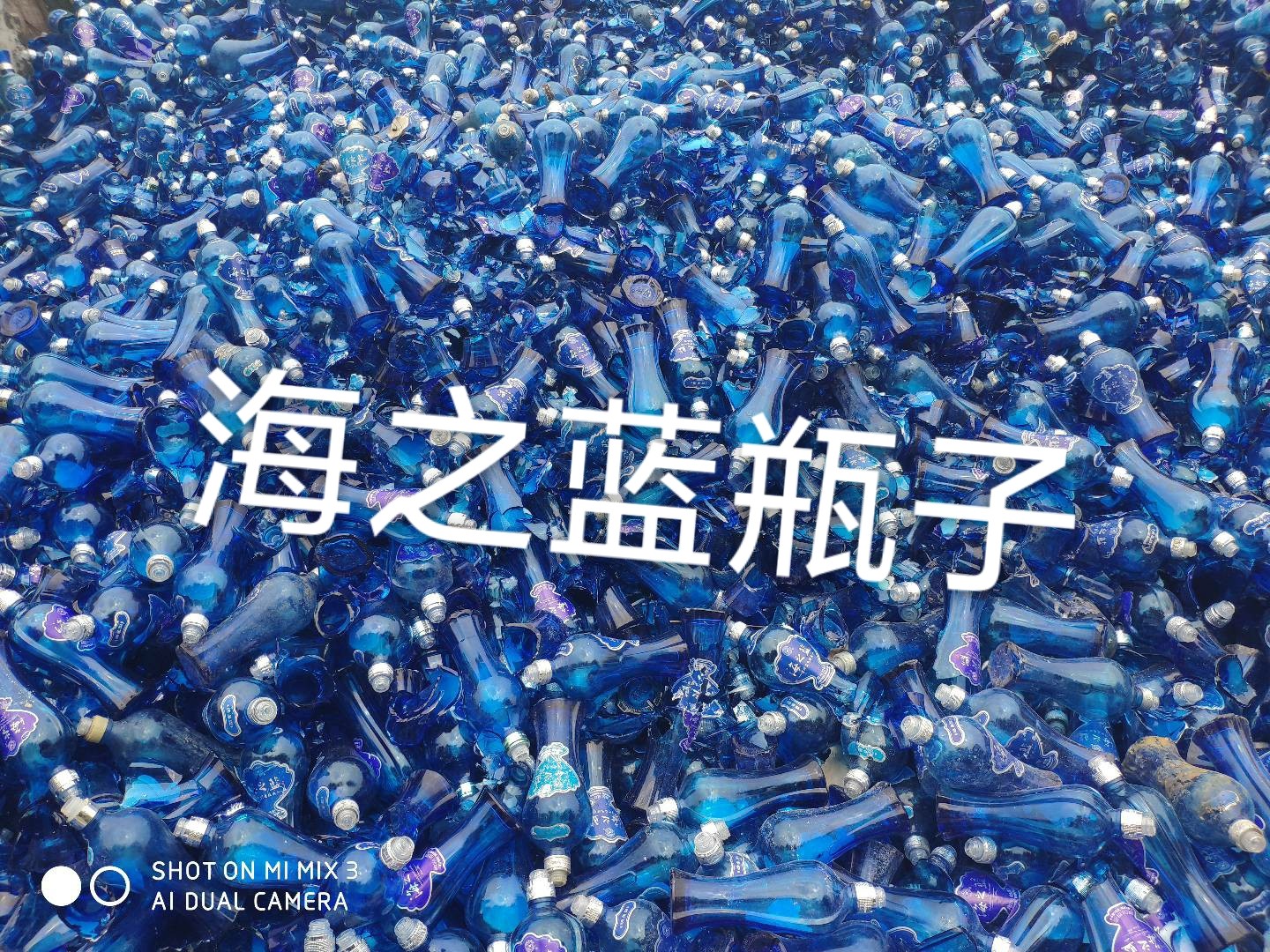 海州区海之蓝瓶回收
