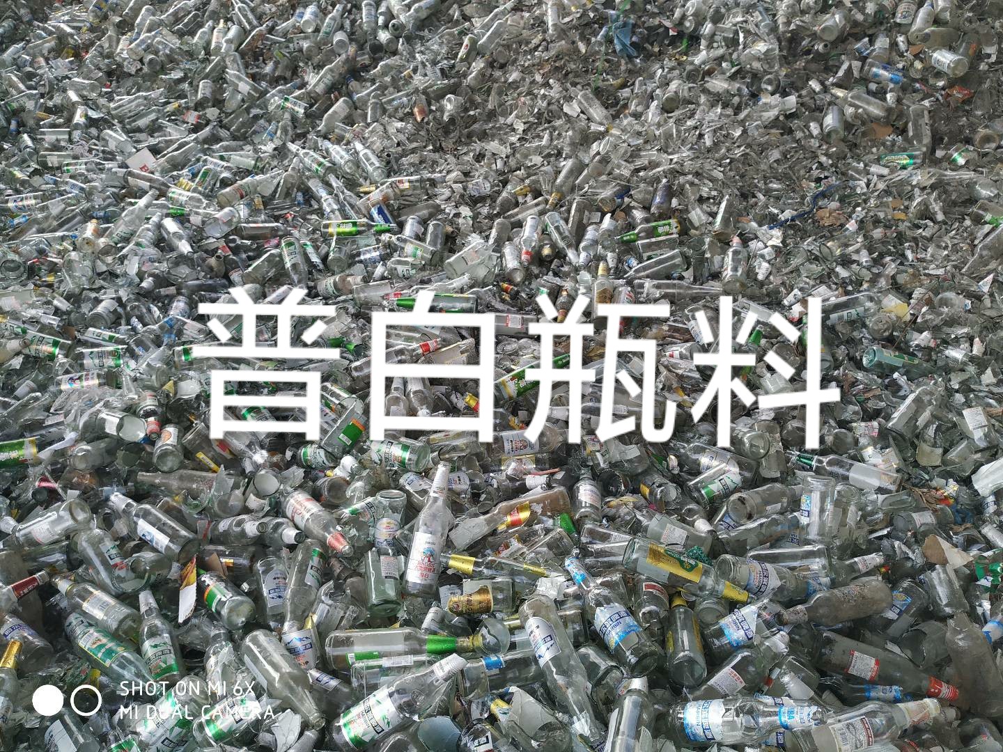 海州区普白瓶料回收